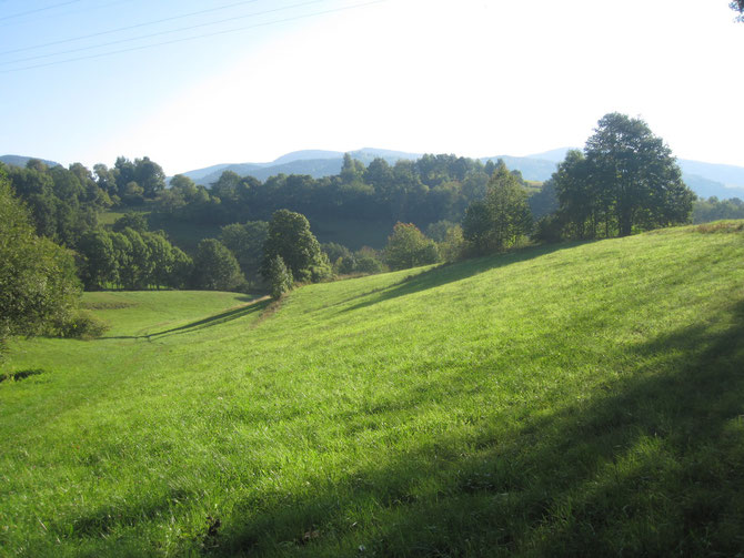 Am Gestüt Boxberg, Rennsteig, Thüringen