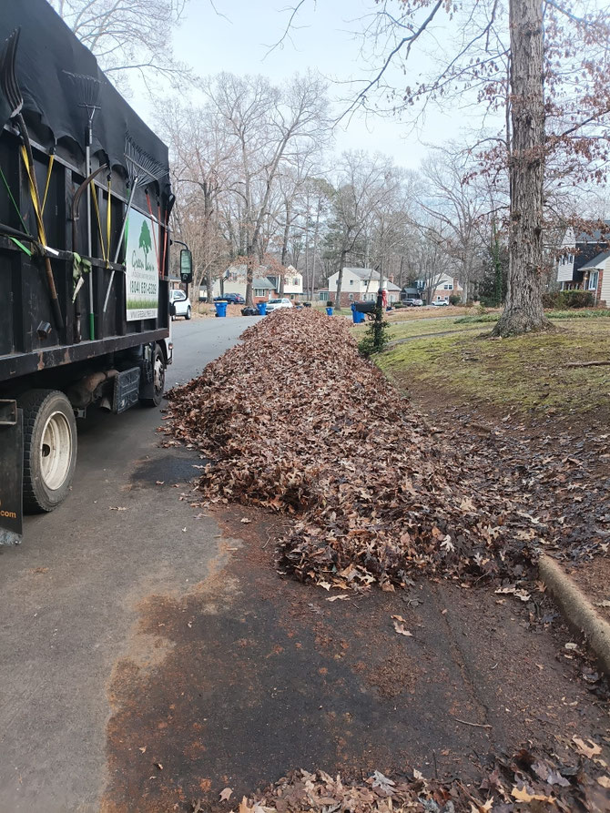 Leaves removal (vacuum)