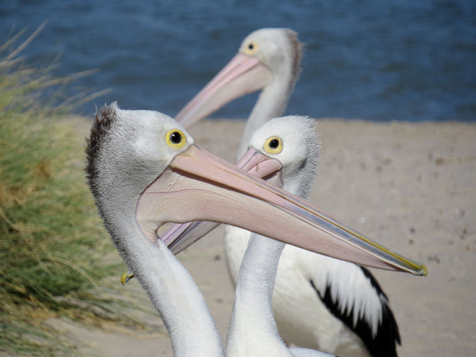Bitte der Reihe nach