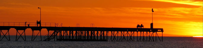 Westküstengeflüster