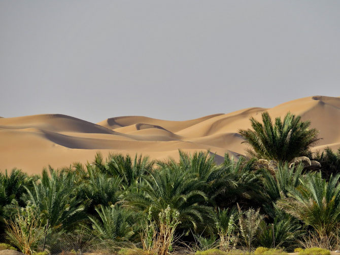 Sandspielplatz mit grünem Vorgarten