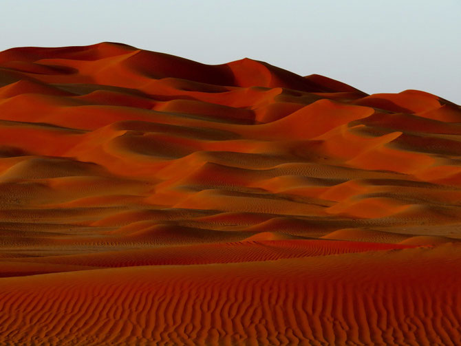 Bilderbuchwüstenbild 1