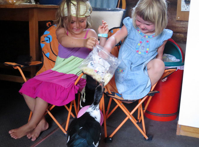 Tägliche Fütterung im Blockhaus