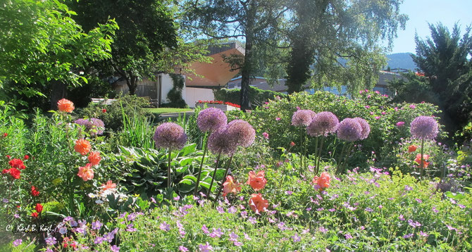 Kurpark Schliersee in voller Blüte