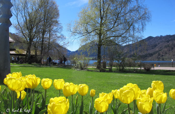 Kurpark Schliersee - ein blühendes "Aushängeschild" unserer Gemeinde
