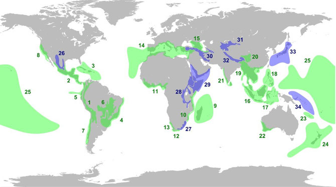 Principaux hot spots; Source: wikipédia.