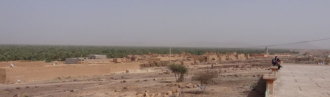 L'immense palmeraie ininterrompue de la vallée du Drâa