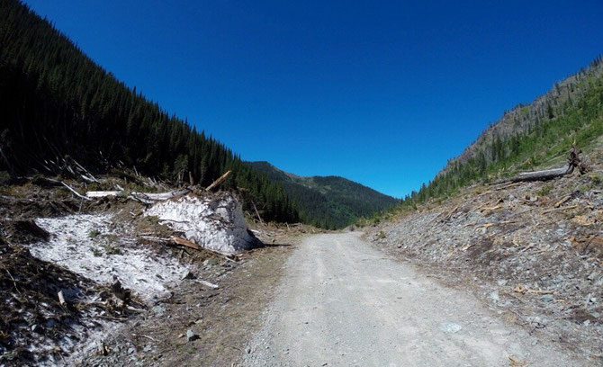 Still some snow on the Forest road