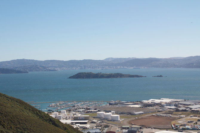 Blick auf "Wellington" von "Lower Hutt" 