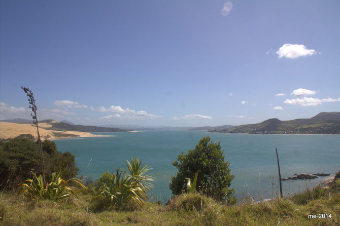 Blick vom "Signal Hill" - Arai Te Uru