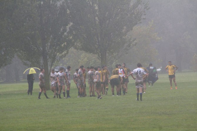 Rugby im Park