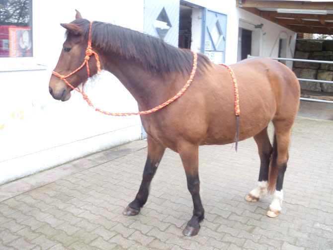 Bodearbeitsseil in rot,gelb 4 Meter lang