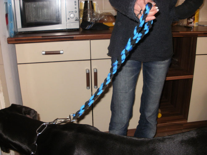 Hundekurzleine aus Polypropylen