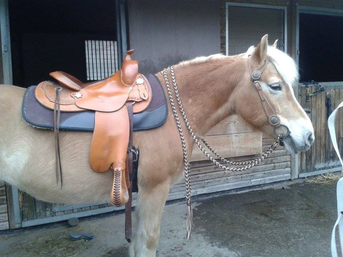 Flechtzügel Western braun,beige