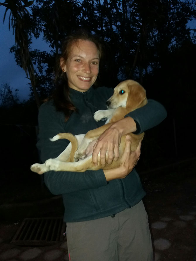 Abends mussten wir Abschied nehmen von den süßen Hunden.