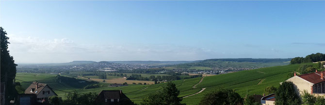 View of the champagne countryside