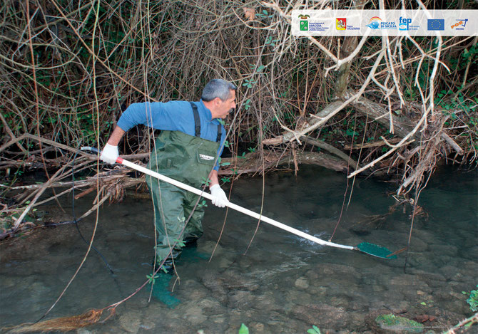 Pesca con elettrostorditore