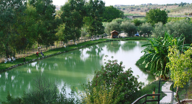 L'azienda