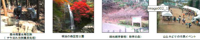 森林整備 ↑