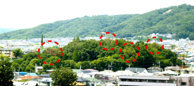 丸印(破線)・・ナラ枯れにより枯れたドングリの木(昨年秋)。被害を受ても枯れていない被害木も多数。瀬川の森。