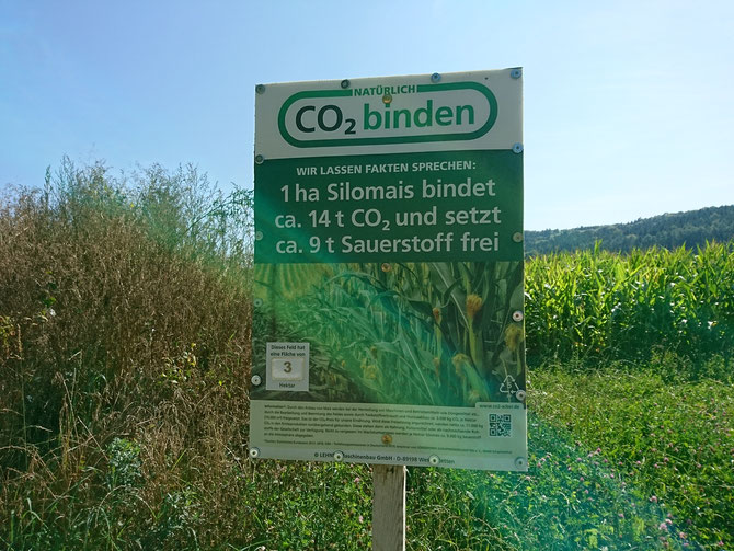 1 Hektar Silomais bindet 14 Tonnen CO2