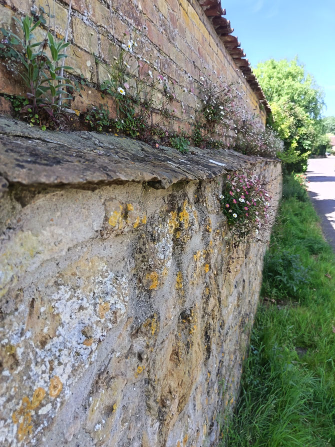 Spill stone protecting wall