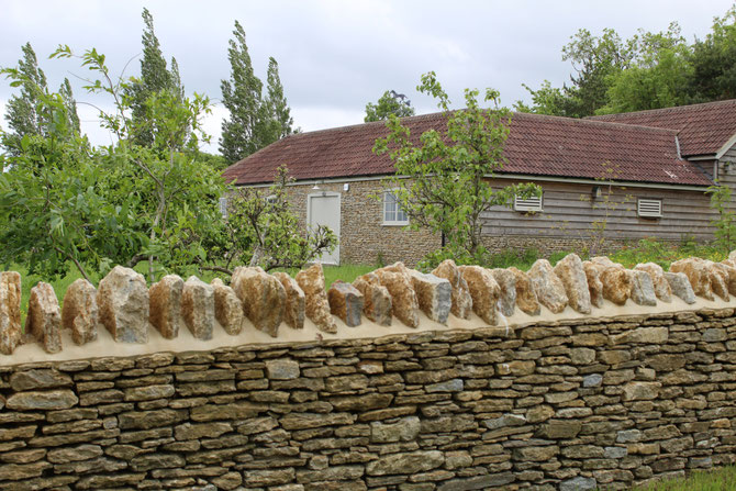 Cock and hens on wall