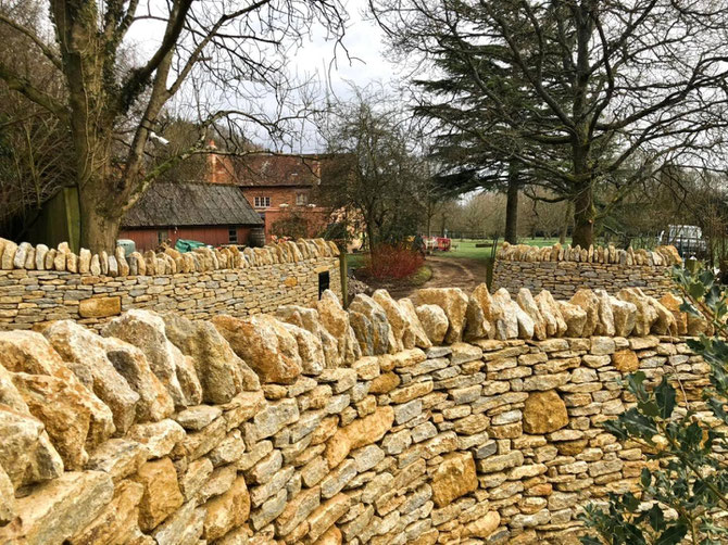 Wall with cock and hens