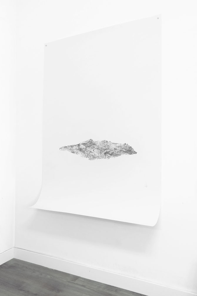 [ Bark ] Lápiz carboncillo sobre papel. (145 x 105 cm. 2020)