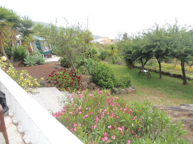 Blick in den Garten