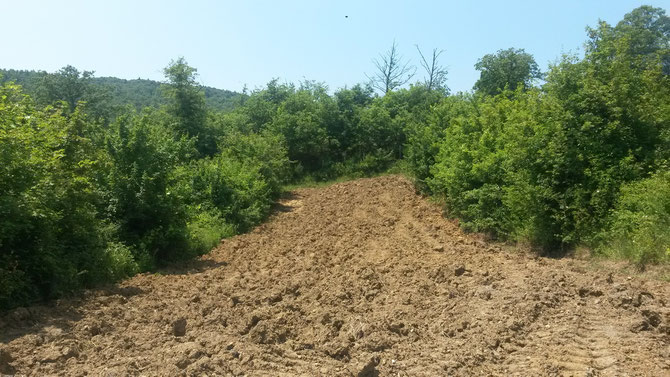 campo dove c'era favino, già preparato per la semina di settembre