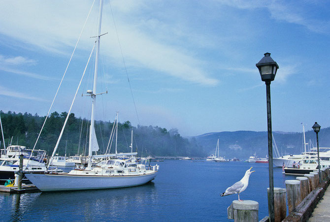 NORTHEAST HARBOR . MAINE