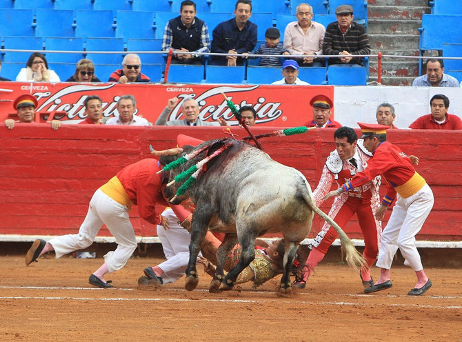 C* REDIBEROAMERICANA DE CIUDADES TAURINAS.