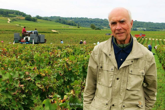 VENDANGES 2013. LA ROMANEE-CONTI. MERCI MEI HONG.