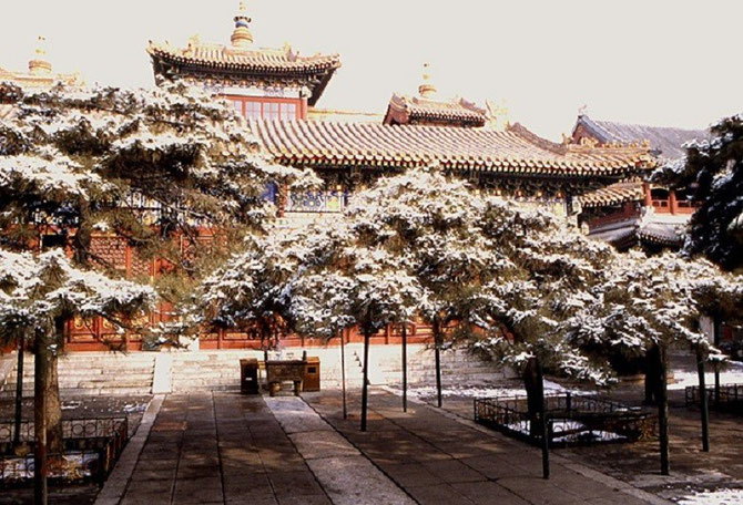 PRINTEMPS à PEKIN, CITE INTERDITE. PALAIS DE L'HARMONIE.