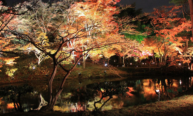 JARDIN du TEMPLE KODAI-JI, HIGASHIYAMA arrondissement, à l'est de Kyoto. Plus grand sous-temple de la branche KENNEN-JI. Construit en 1606 par NENE Veuve de H. TOYOMI. C* kanpai.japon.com