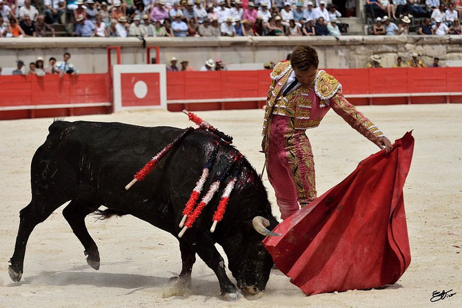 SAMEDI 7 JUIN 2014. NÎMES. FERIA DE LA PENTECÔTE. 500è CORRIDA de JUAN BAUTISTA, DEPUIS 1999 à ARLES. TORO : ELEVAGE ZALDUENDO. C* LAURENT DELEVOYE