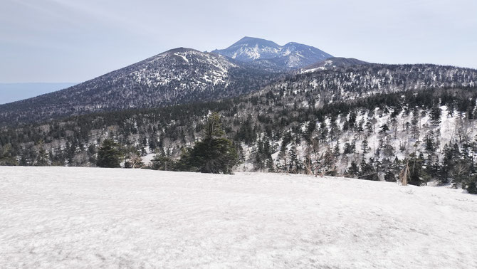 大松倉山山頂手前の小ピーク付近より岩手山を望む　2026/4/30撮影
