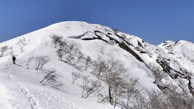 大荒沢ニセピーク手前を登る相棒。ニセピークの奥に大荒沢岳山頂。右奥のピークが羽後朝日岳。2026/4/6撮影