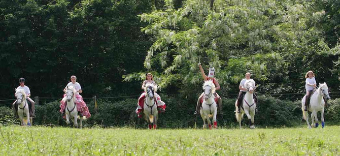 Carrousel lors d'un spectacle de la fête du cheval Camargue à la ferme : 4 entiers et 2 hongres ; 2 chevaux ont des mors, 2 sont en licol, 1 en bitless et le dernier en hackamore.