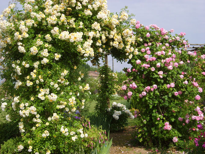 pergola