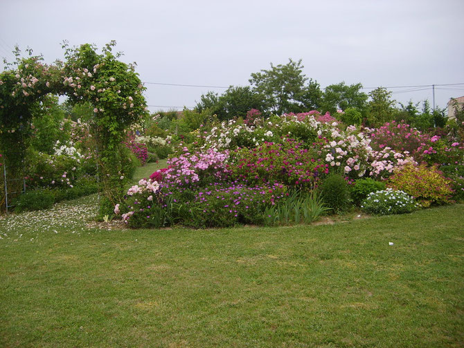 roseraie