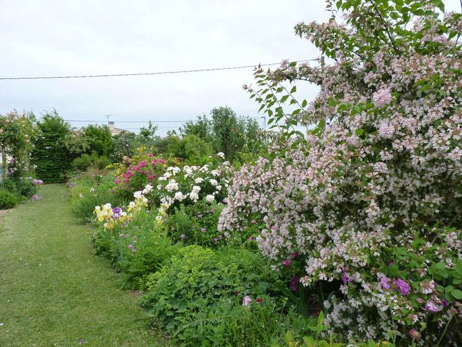 bordure mixte