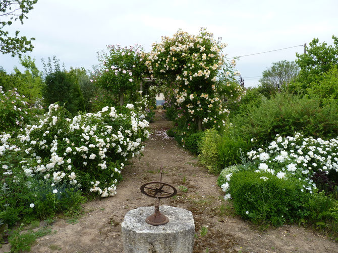 jardin blanc