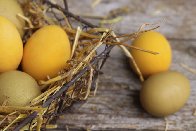 gefärbte Eier mit Naturfarben