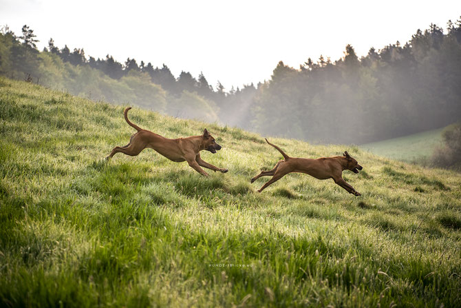Mit Power ins neue Lebensjahr....
