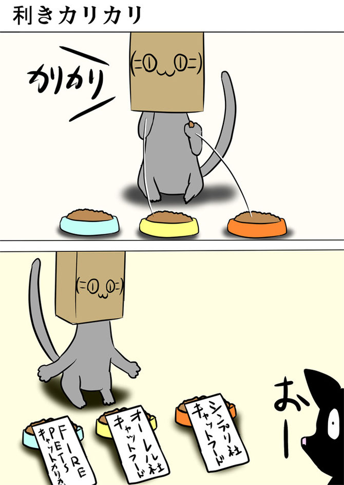 それぞれの餌に社名を書いた紙を置く灰色猫