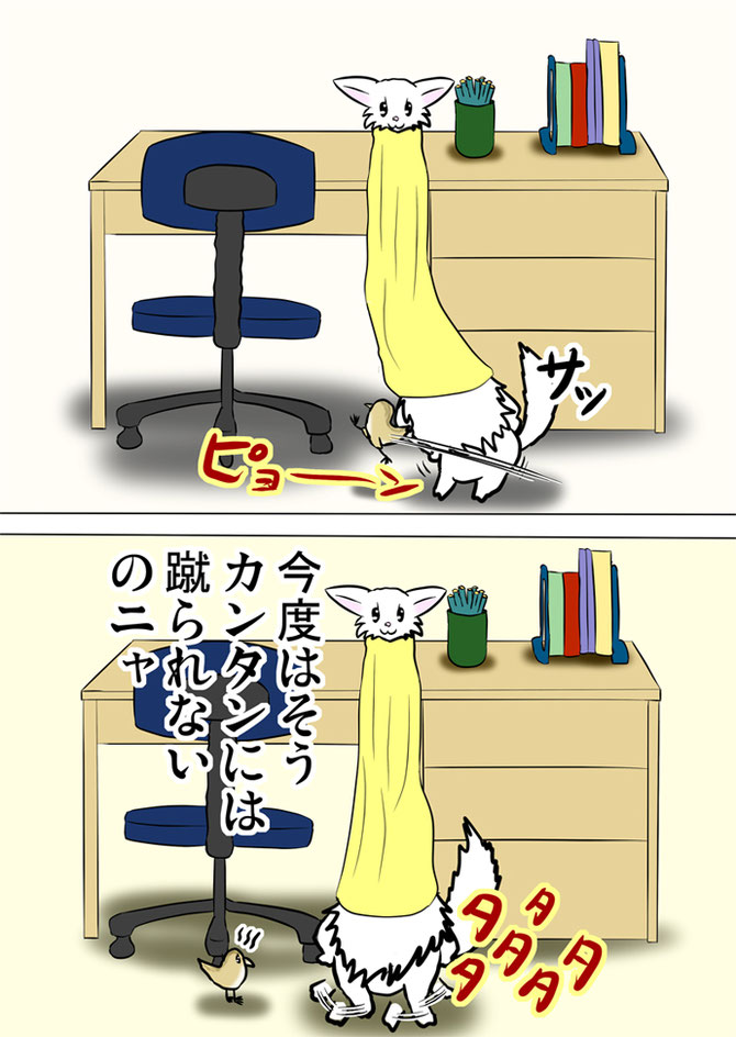 ステップを踏むタオルを被った猫