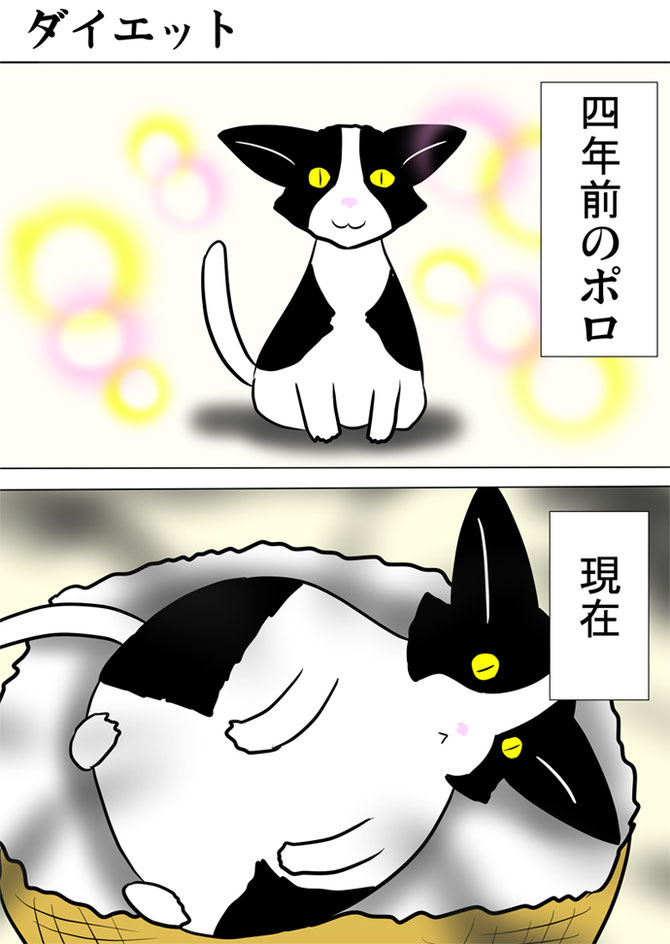 四年前痩せていた猫と現在太った猫