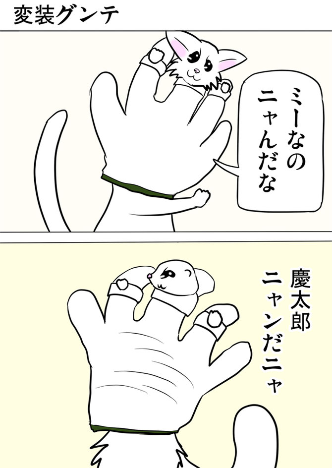 軍手を被る動物たち